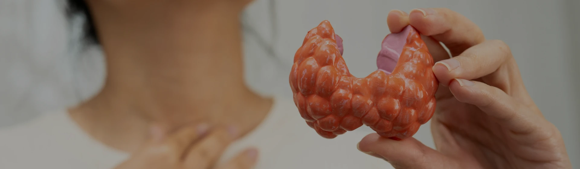 Лечение щитовидной железы